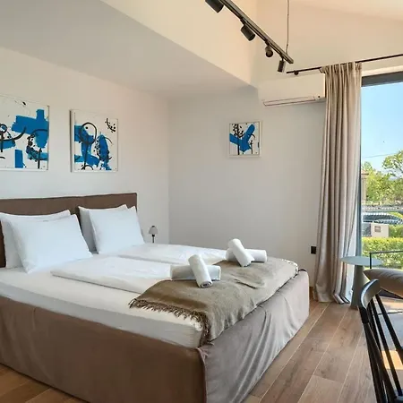 Modern Vallis With Pool And Jacuzzi In Villa Porec